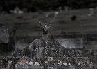 Hidden2015-121 : #HIDDEN2016, #KingstonTech, #NoMoreUgly, #WDsyd, #wwim14 #wwim14_sydney, Architecture, Art, Artist, Landmark, Landscape, Rookwood, cemetery, flash