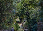 Rookwood-150 : Bird, Bulding, Graveyard, Landmark, Landscape, Rookwood, Sun, Sunset, Tree, bush, cemetery, graves